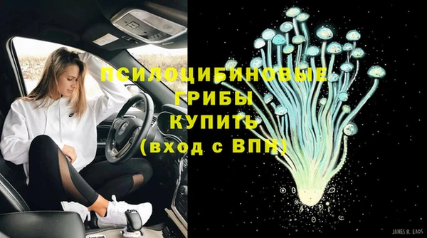 СК Коряжма