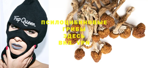 СК Коряжма
