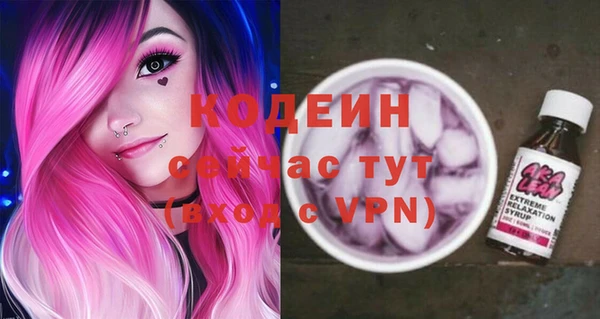 СК Коряжма