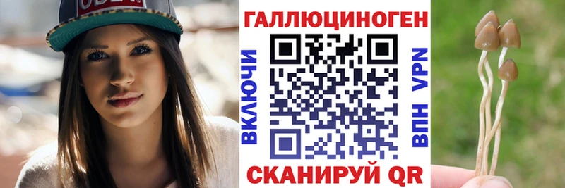 Купить где  Выкса  Псилоцибиновые грибы прущие грибы 